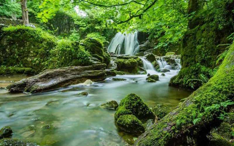 高精度智能系统